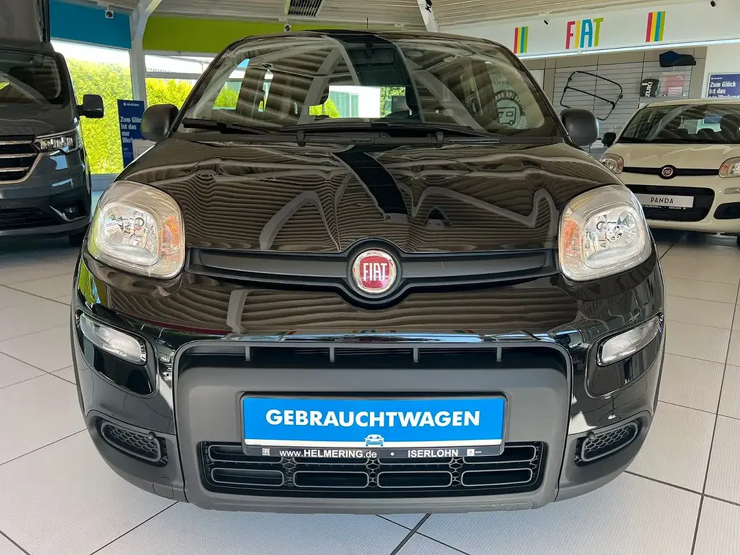 Fiat Panda - Thumbnail 6