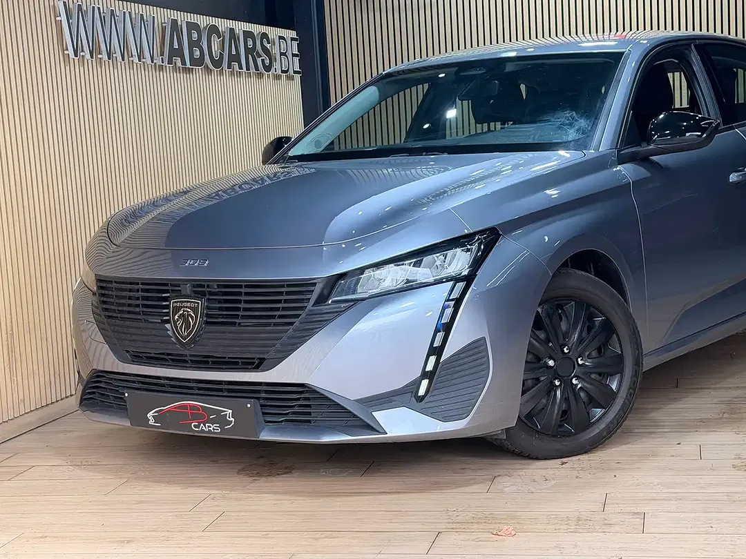 Peugeot 308 - Thumbnail 3
