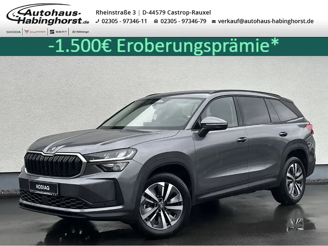 Skoda Kodiaq - Thumbnail 1