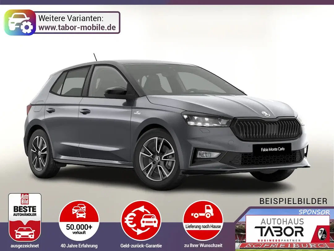 Skoda Fabia - Afbeelding 1