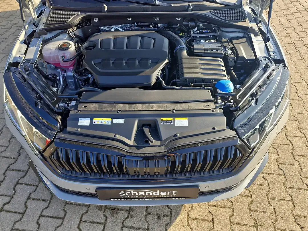 Skoda Octavia - Thumbnail 14