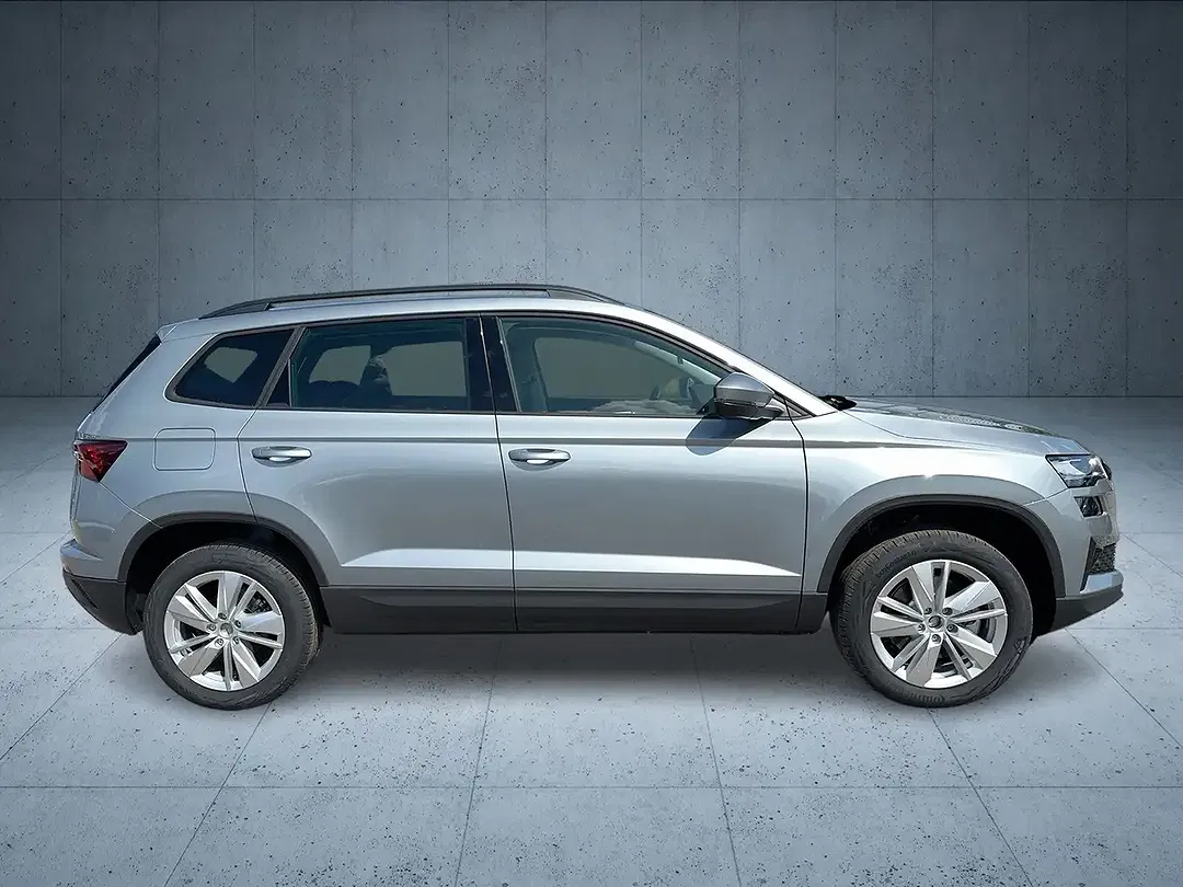 Skoda Karoq - Thumbnail 6