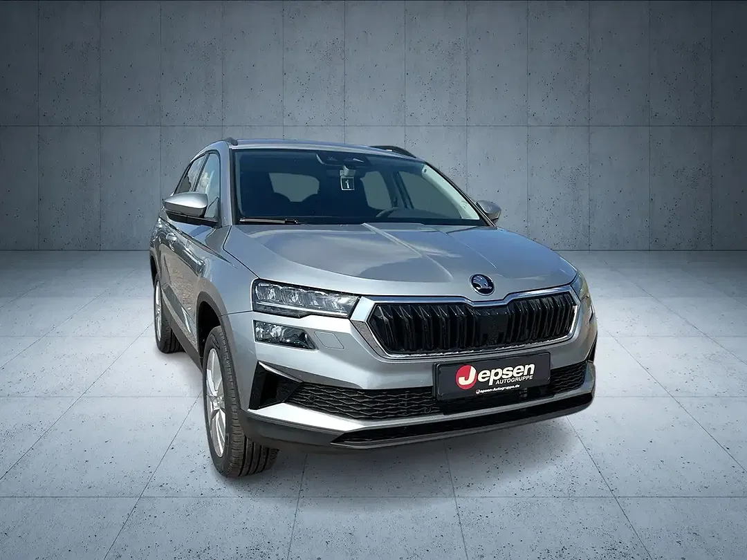Skoda Karoq - Thumbnail 8