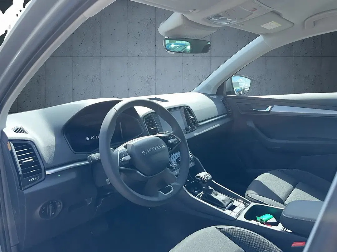 Skoda Karoq - Thumbnail 9