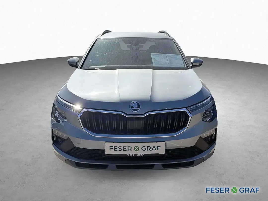 Skoda Kamiq - Thumbnail 2