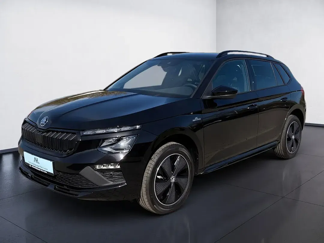 Skoda Kamiq - Thumbnail 1