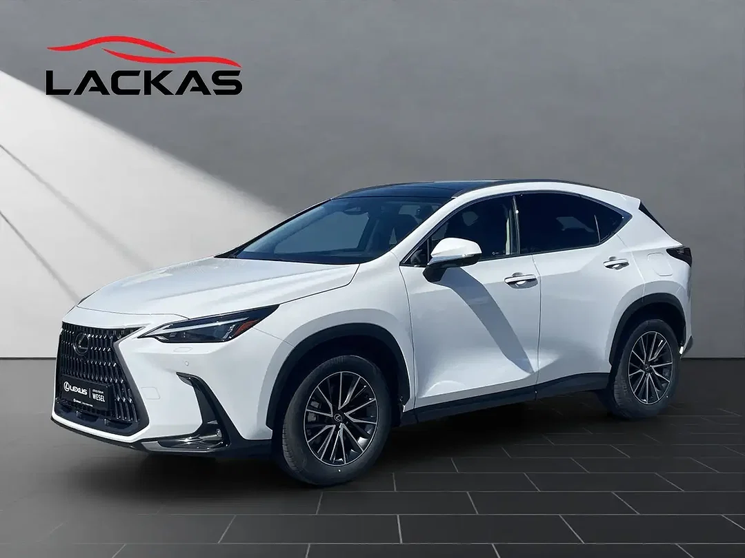 Lexus NX 450h+ - Afbeelding 1
