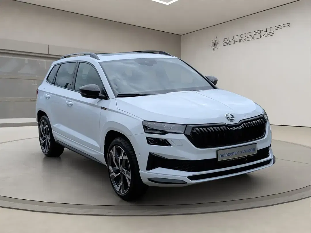 Skoda Karoq - Thumbnail 7