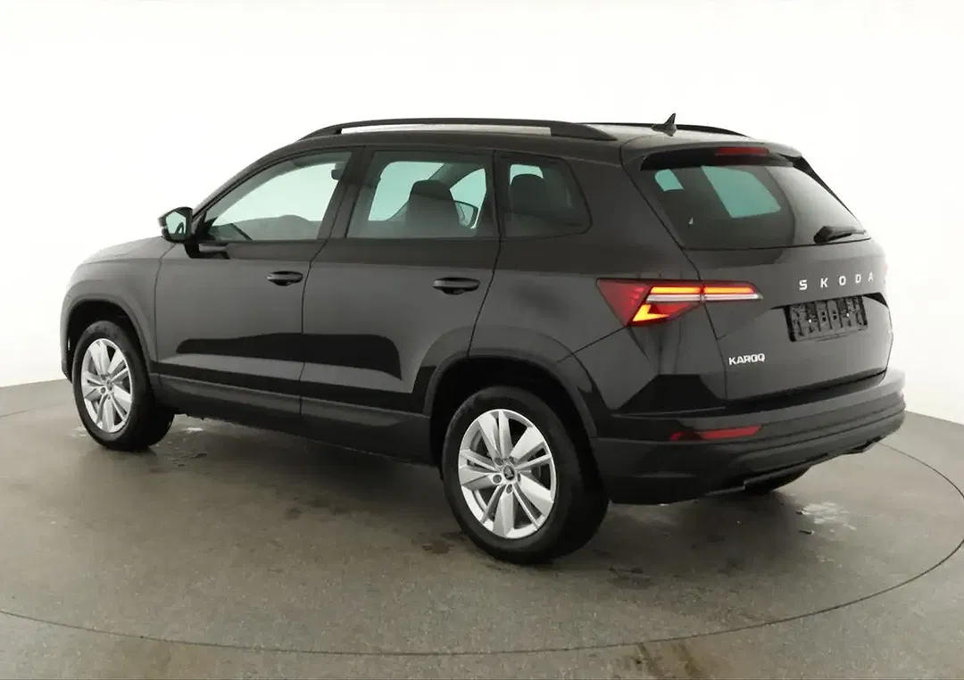 Skoda Karoq - Thumbnail 4