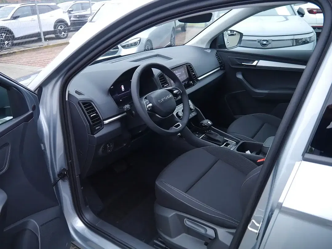 Skoda Karoq - Thumbnail 13