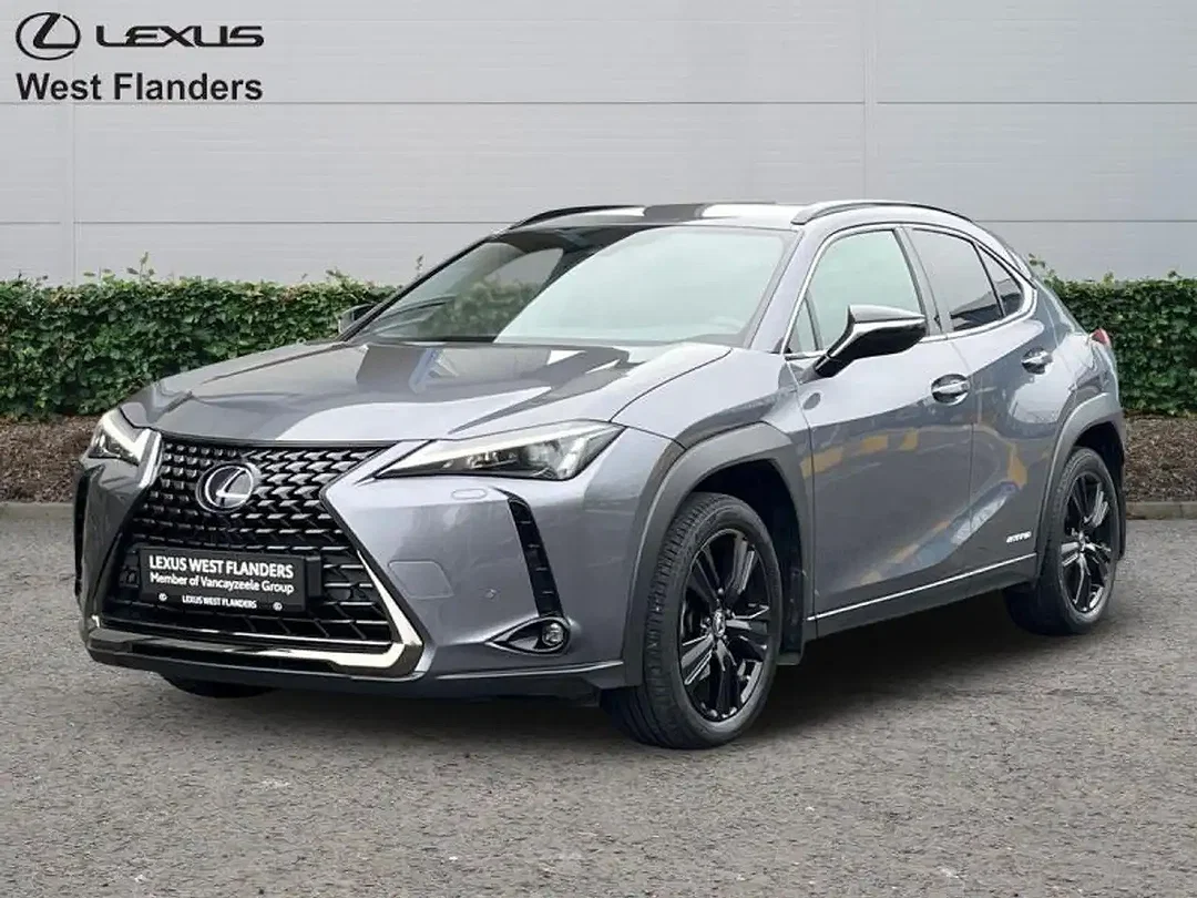 Lexus UX 250h - Afbeelding 1