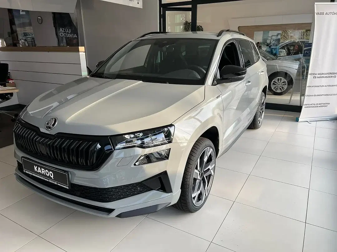 Skoda Karoq - Afbeelding 1