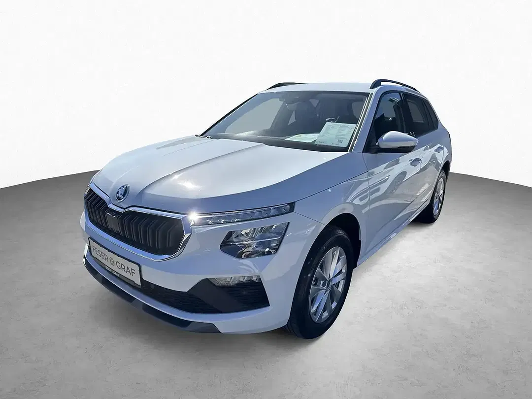 Skoda Kamiq - Thumbnail 15