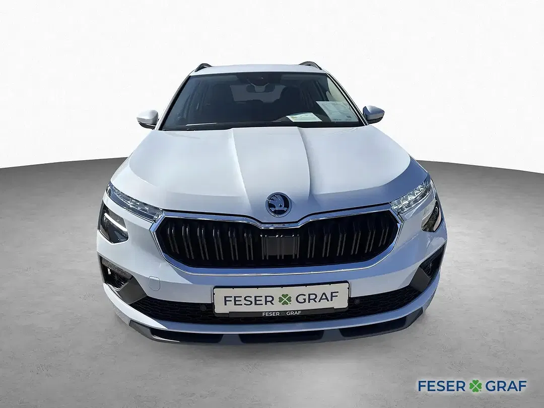 Skoda Kamiq - Thumbnail 2