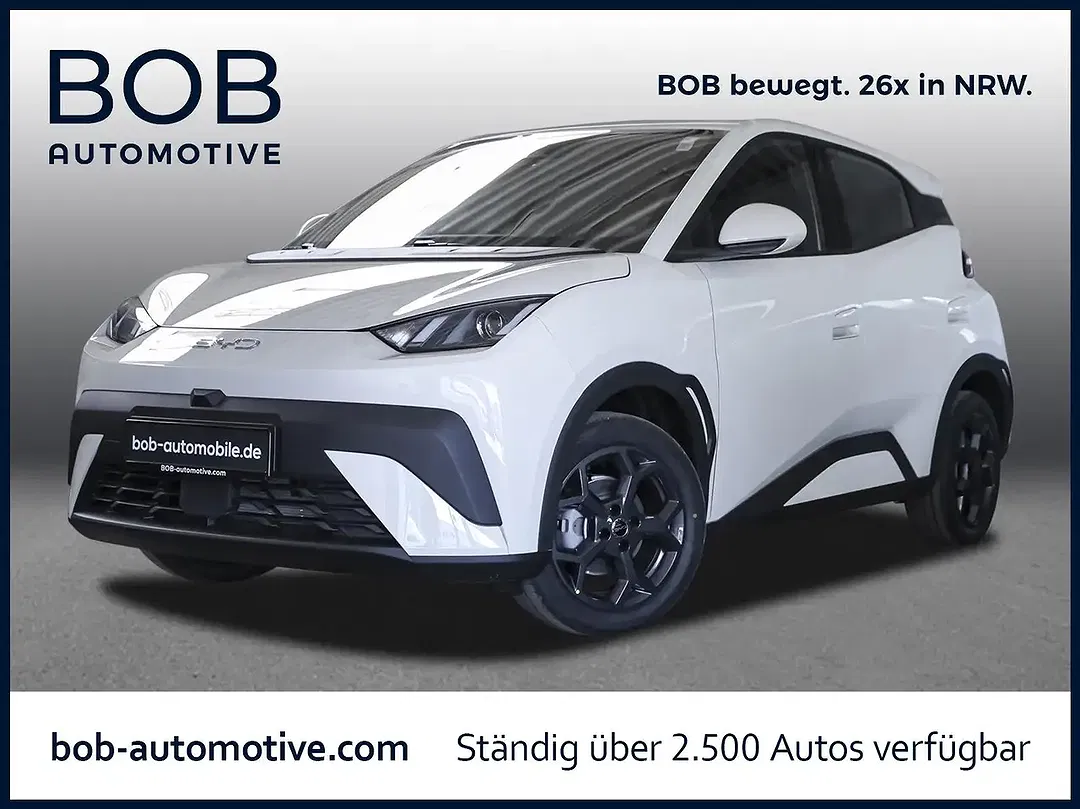BYD Dolphin Surf Boost