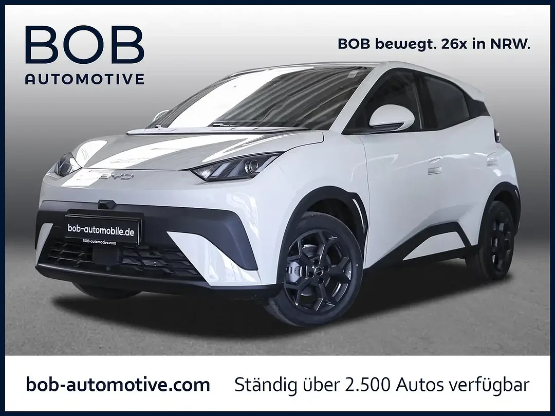 BYD Dolphin - Afbeelding 1