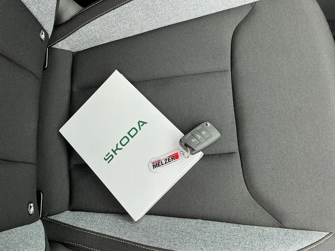 Skoda Kamiq - Thumbnail 10