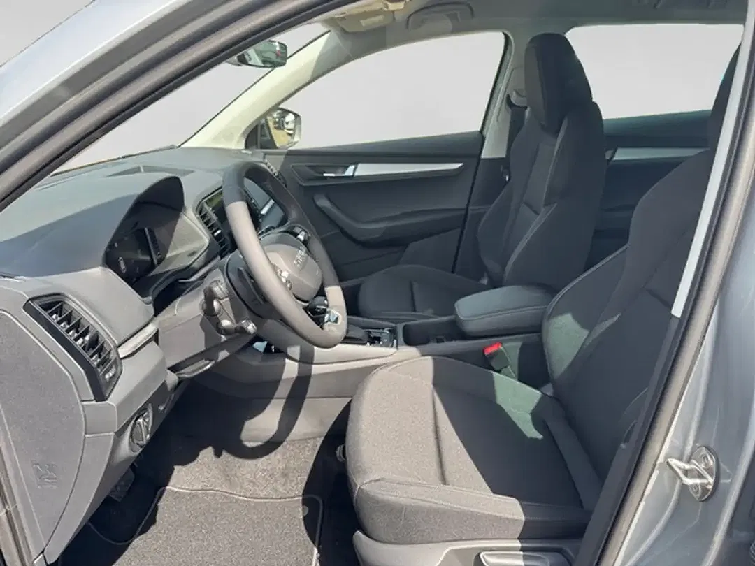 Skoda Karoq - Thumbnail 10