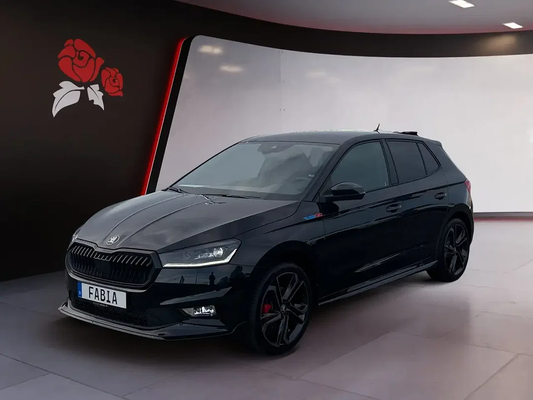 Skoda Fabia - Afbeelding 1