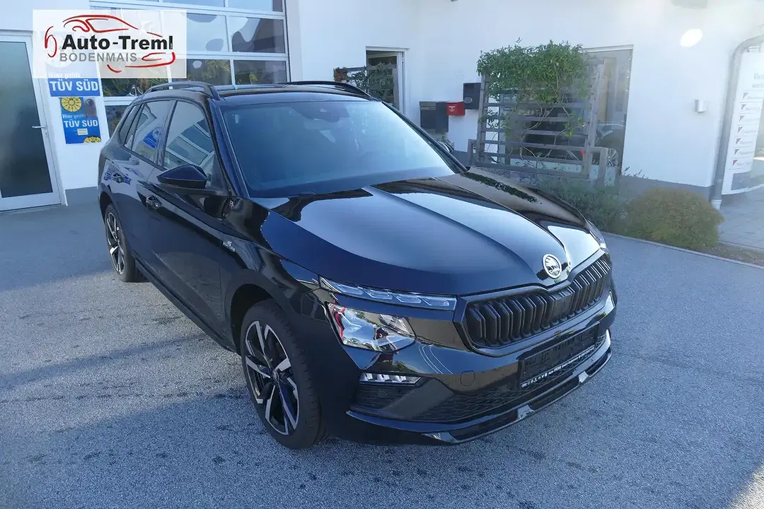 Skoda Kamiq - Thumbnail 8