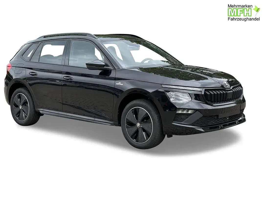 Skoda Kamiq - Thumbnail 7