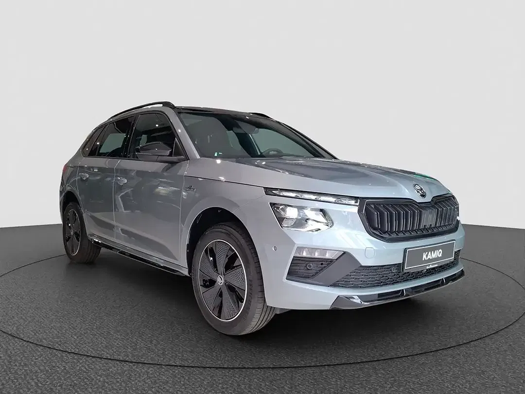 Skoda Kamiq - Thumbnail 6