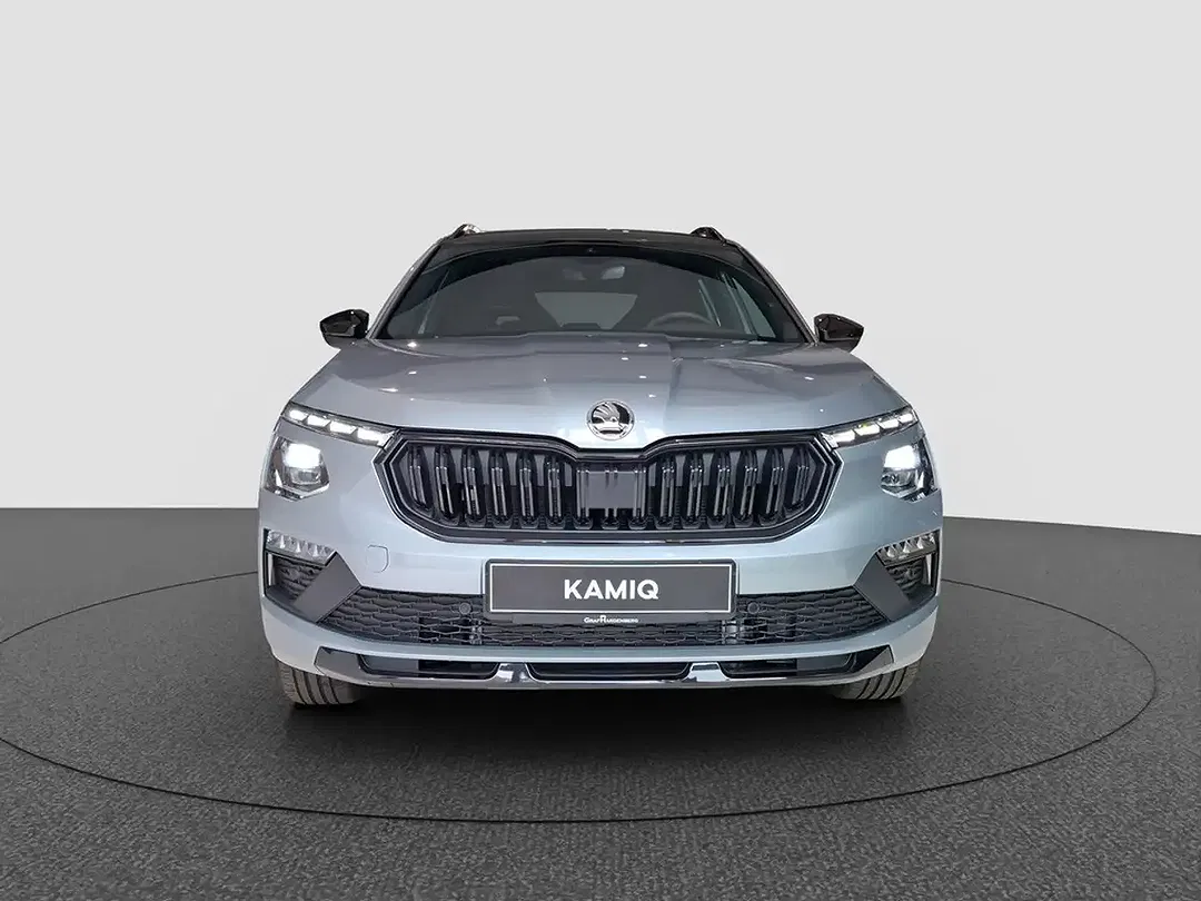Skoda Kamiq - Thumbnail 7