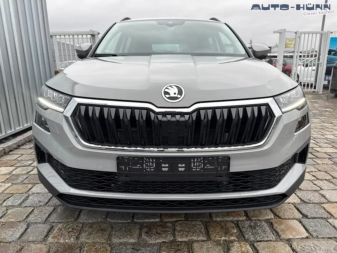 Skoda Karoq - Thumbnail 14