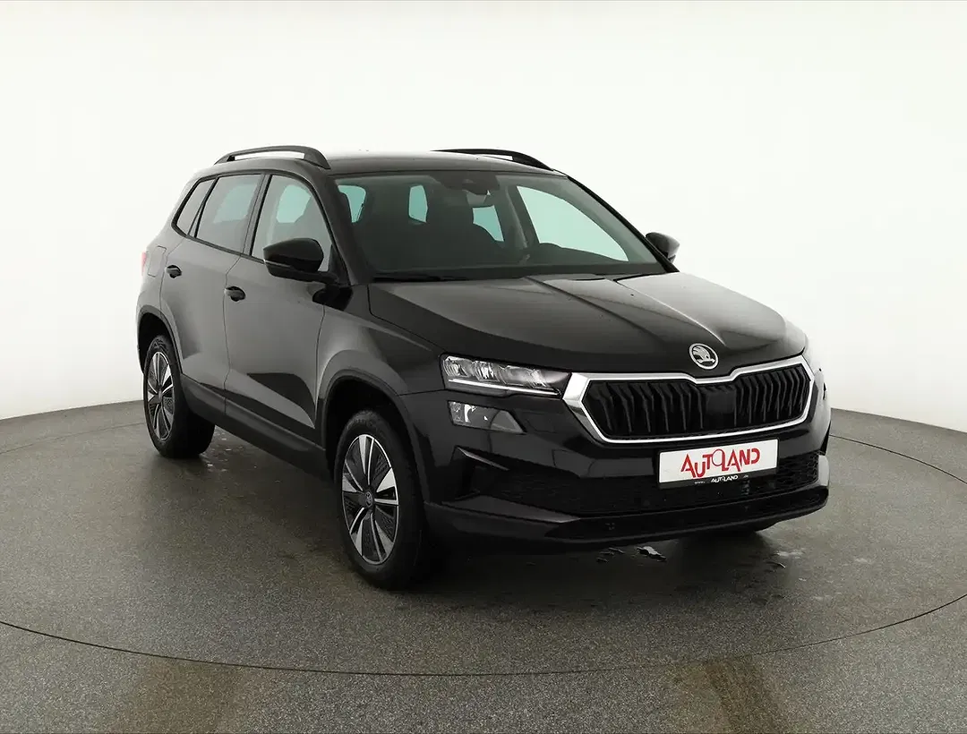 Skoda Karoq - Thumbnail 6