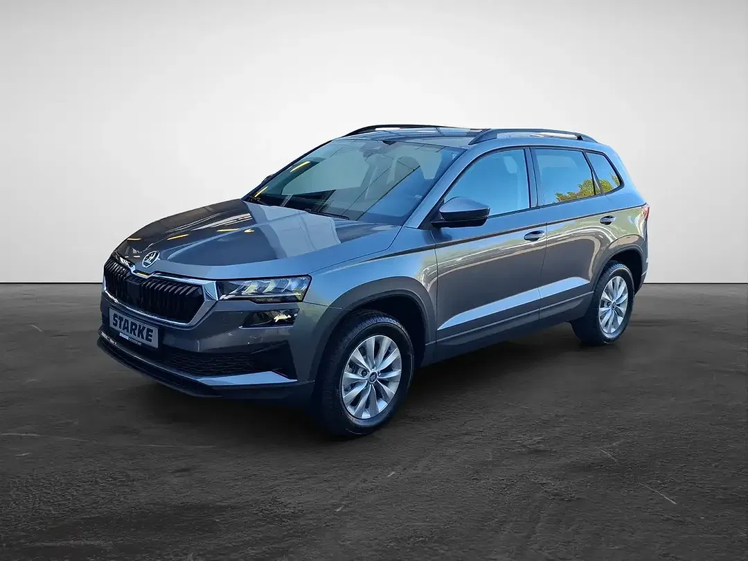 Skoda Karoq - Thumbnail 1