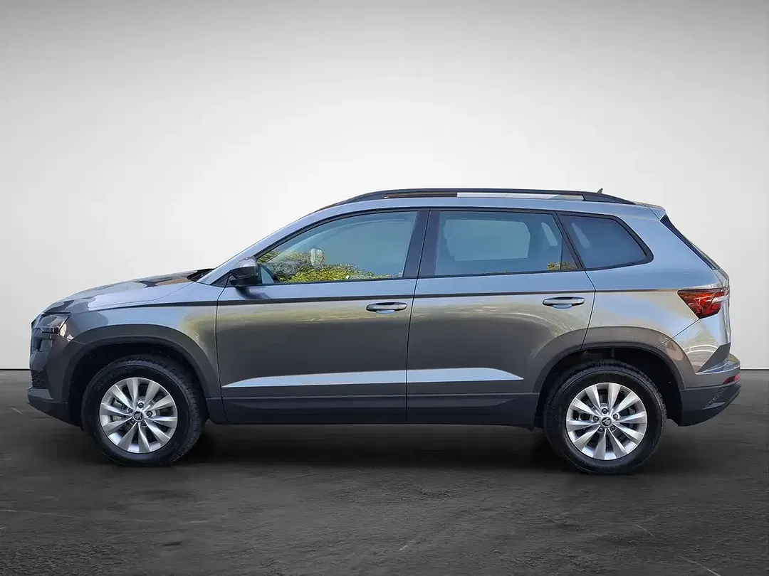 Skoda Karoq - Thumbnail 2