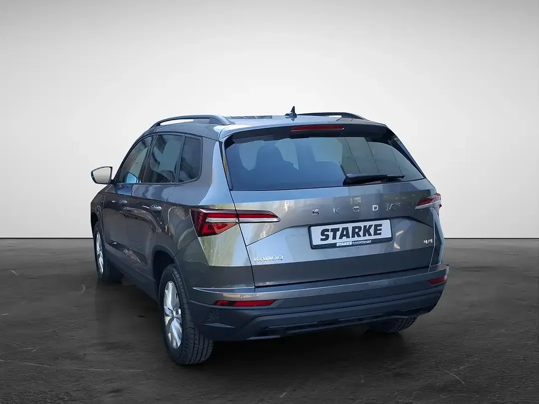 Skoda Karoq - Thumbnail 3