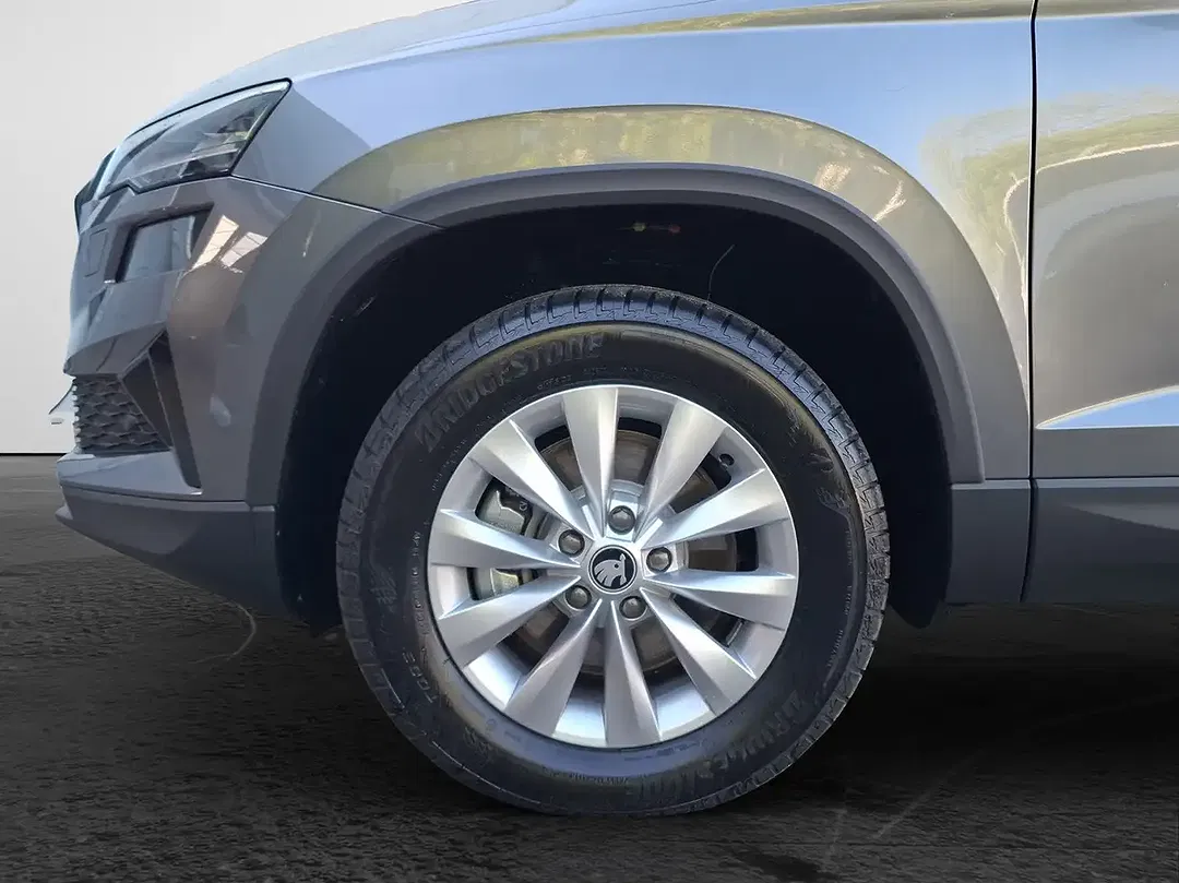 Skoda Karoq - Thumbnail 4