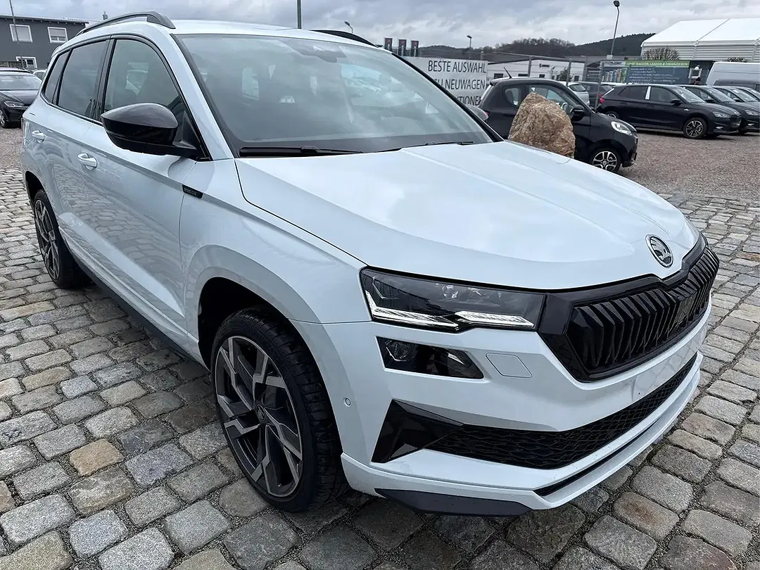 Skoda Karoq - Thumbnail 3