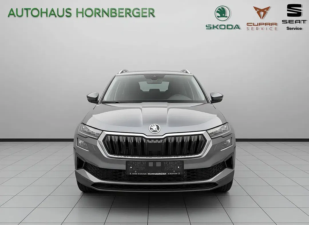 Skoda Karoq - Thumbnail 3