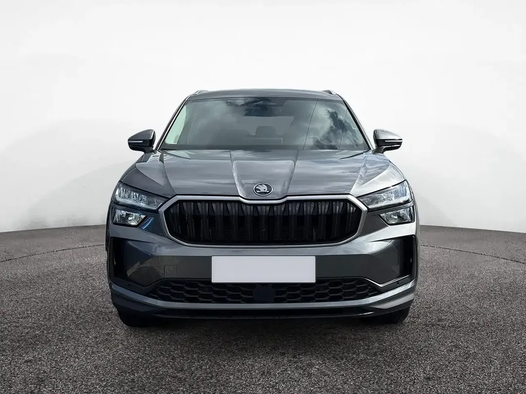 Skoda Kodiaq - Thumbnail 1