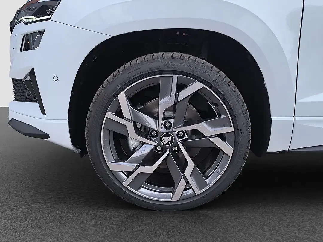 Skoda Karoq - Thumbnail 12