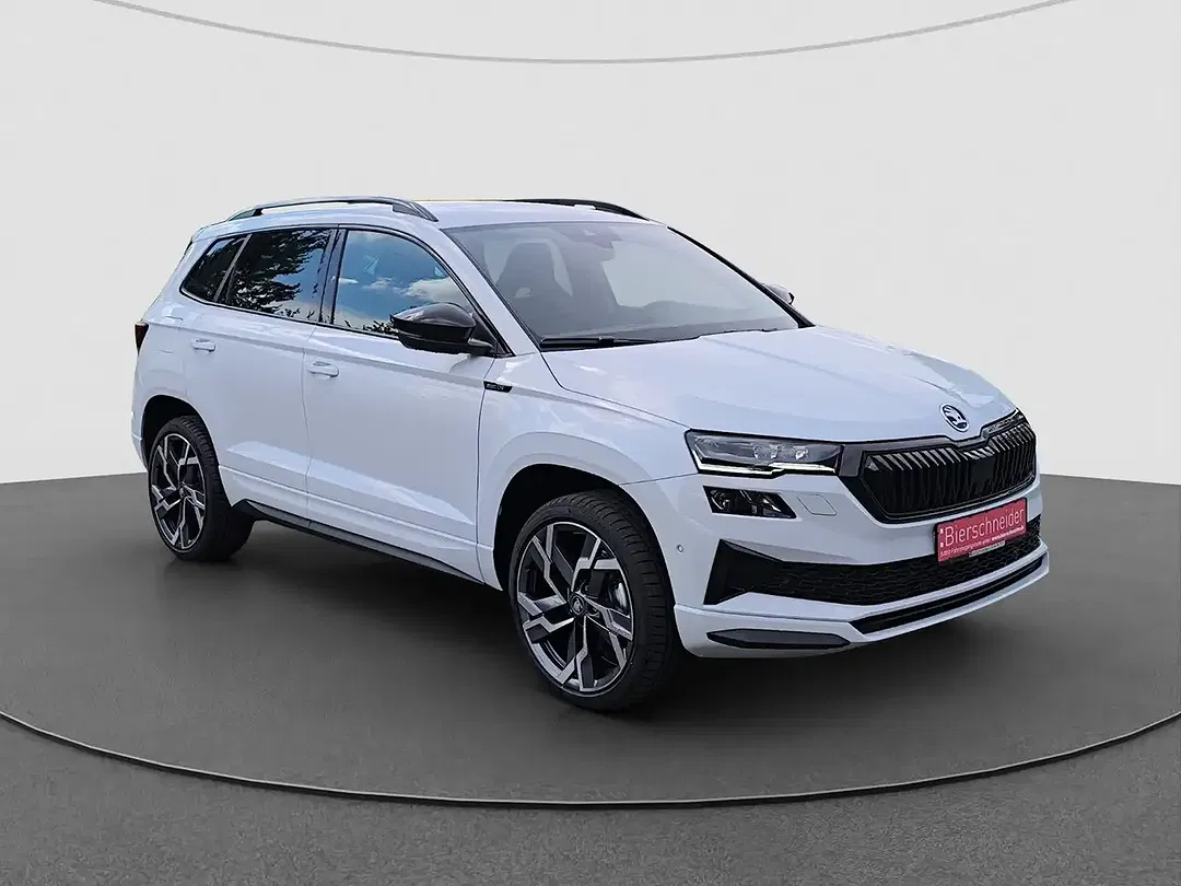 Skoda Karoq - Thumbnail 6