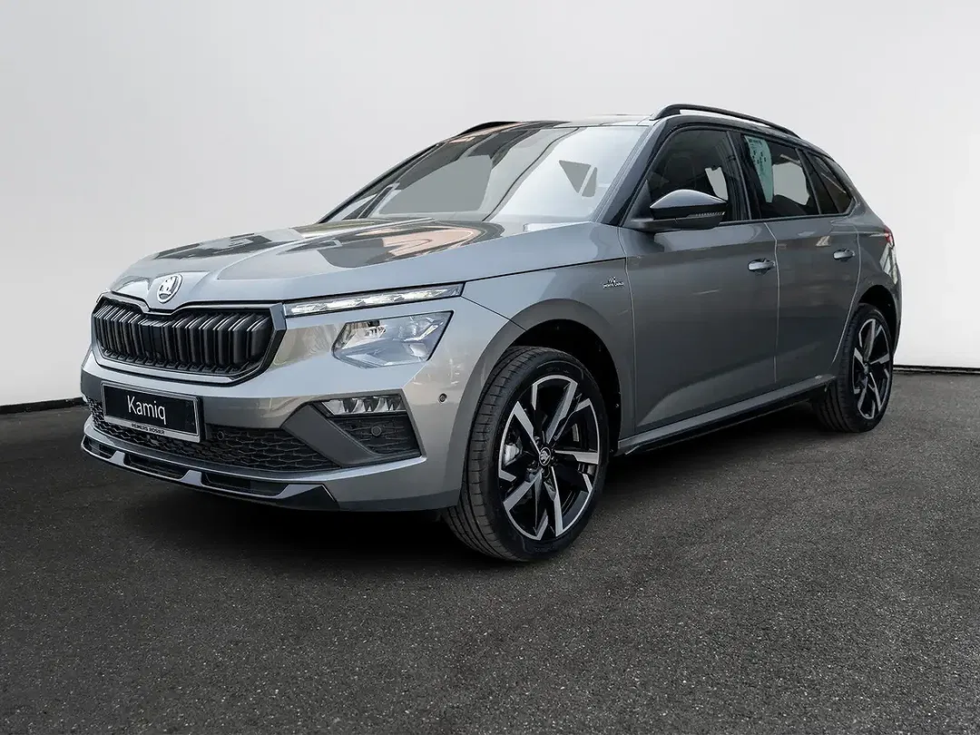 Skoda Kamiq - Thumbnail 1