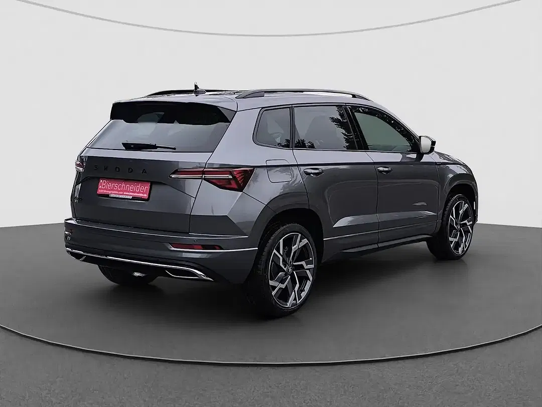 Skoda Karoq - Thumbnail 10
