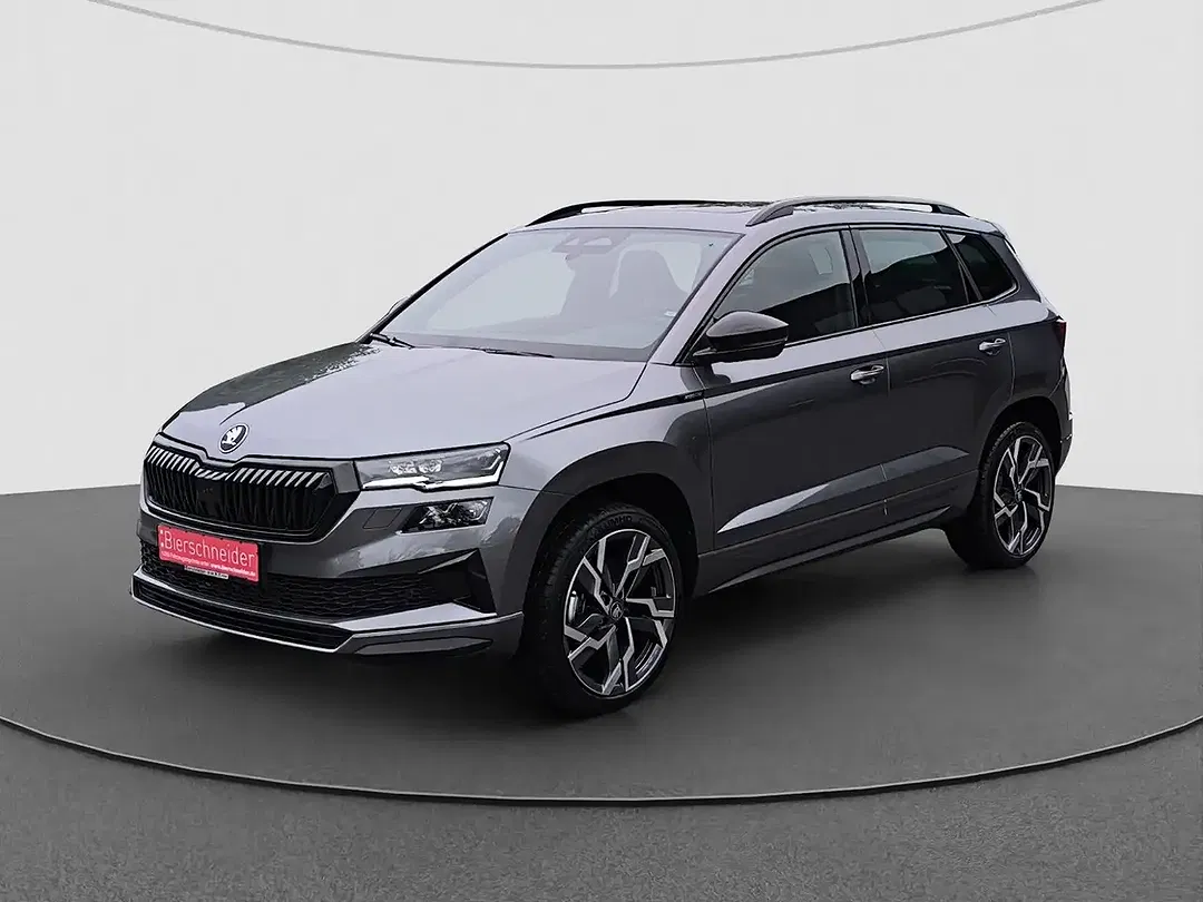 Skoda Karoq - Thumbnail 2