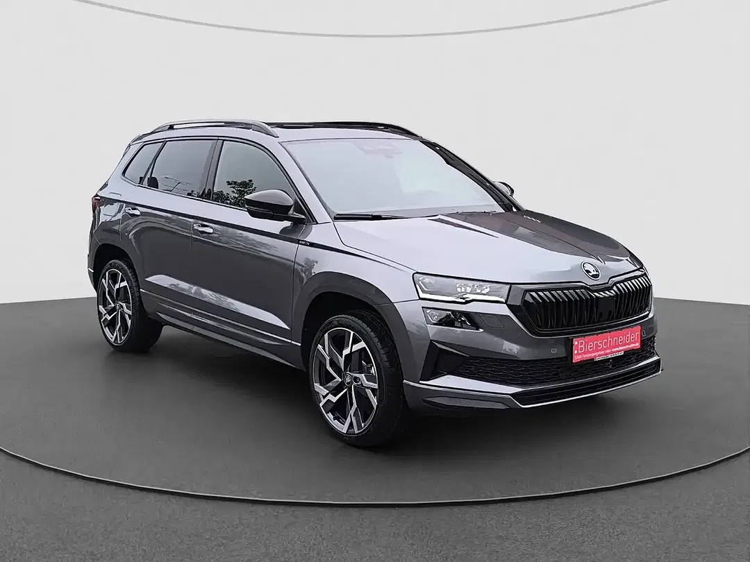 Skoda Karoq - Thumbnail 6