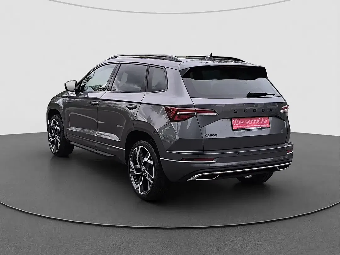 Skoda Karoq - Thumbnail 8
