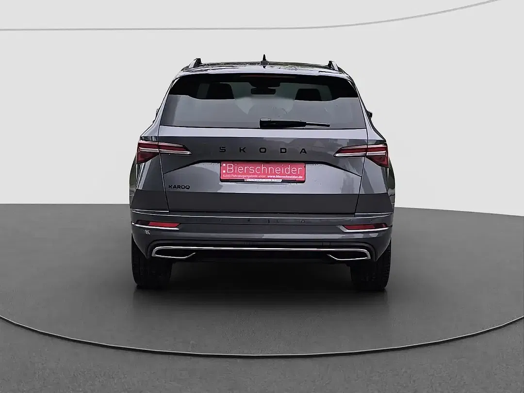 Skoda Karoq - Thumbnail 9
