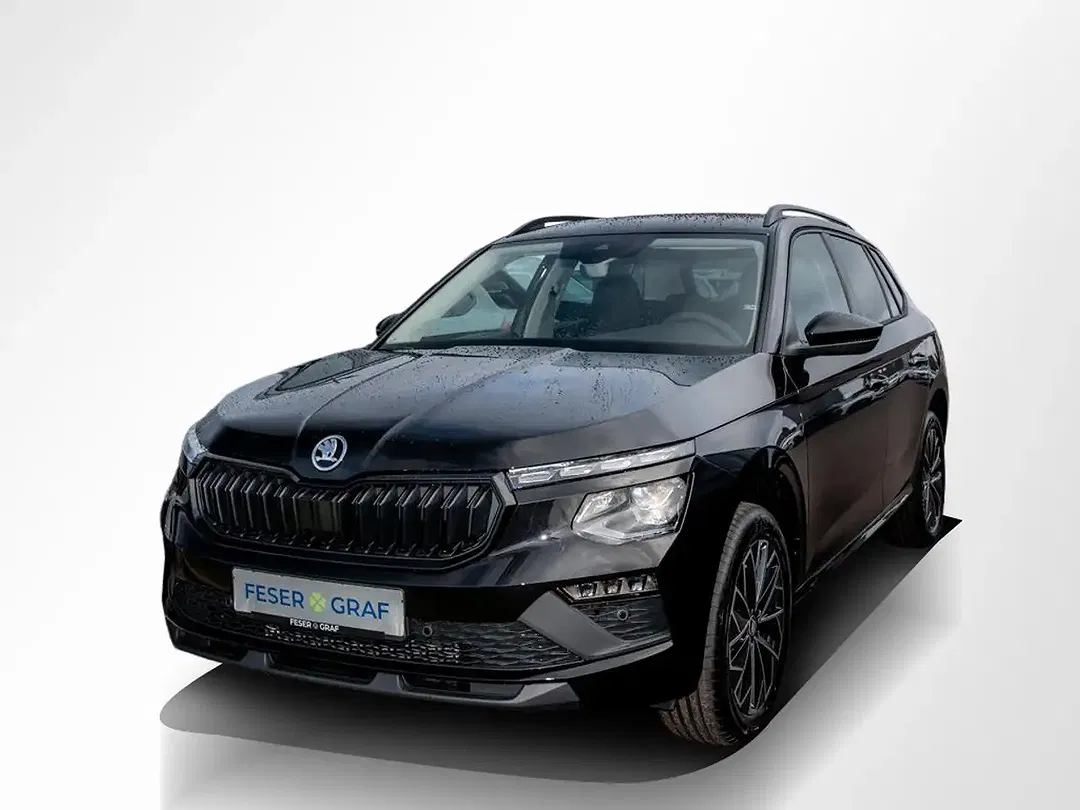 Skoda Kamiq - Thumbnail 11