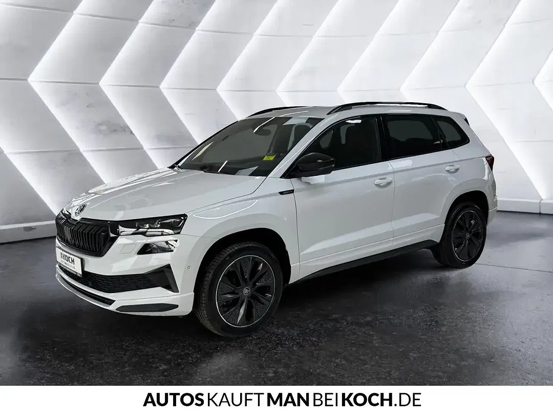 Skoda Karoq - Thumbnail 1