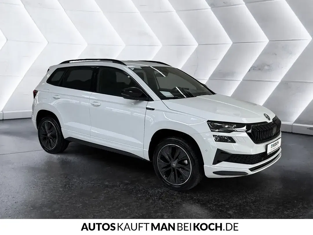 Skoda Karoq - Thumbnail 4