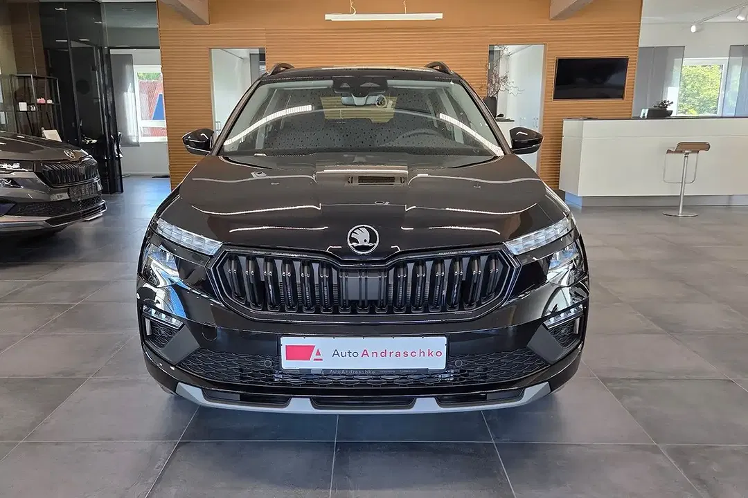 Skoda Kamiq - Thumbnail 2