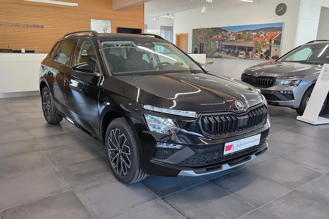 Skoda Kamiq - Thumbnail 3