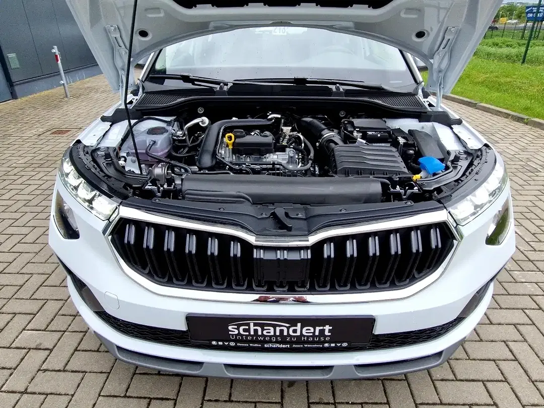 Skoda Kamiq - Thumbnail 15
